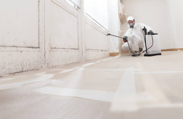 24/7 Emergency Mold Removal experts in Rutherford, NJ