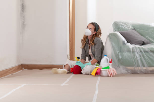 Reliable Mold Remediation contractor in Rutherford, NJ by Cheap Mold Removal